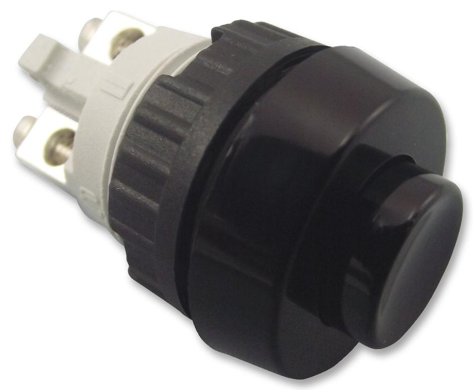 1.10.001.001/0104 SWITCH, 1 NO, 0.7A, 250VAC, SCREW RAFI