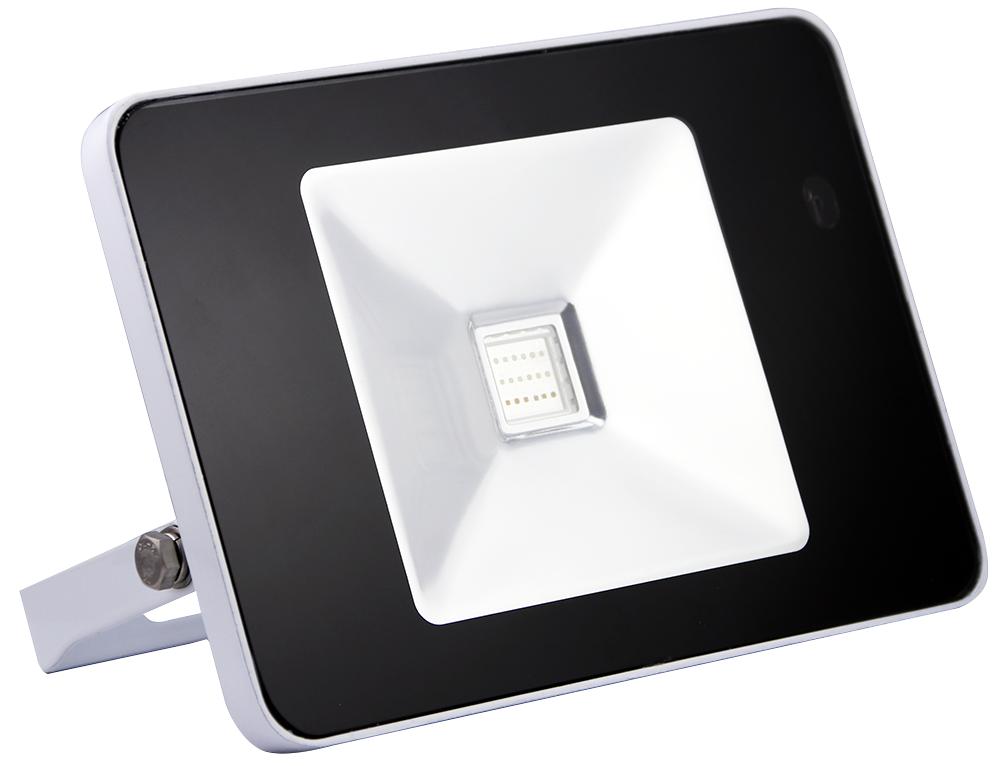 PEL00283 FLOODLIGHT, COB LED, 50W, IP65 PRO ELEC