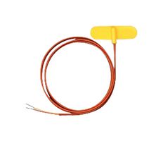 SA2C-Ti-2m RTD S, RTD Surface Probes Omega