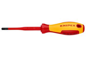 98 25 02 SLS Pozidrive Screwdriver, 100mm, #2 Knipex
