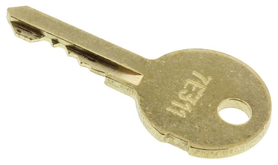 31-989.311B SWITCH KEY EAO